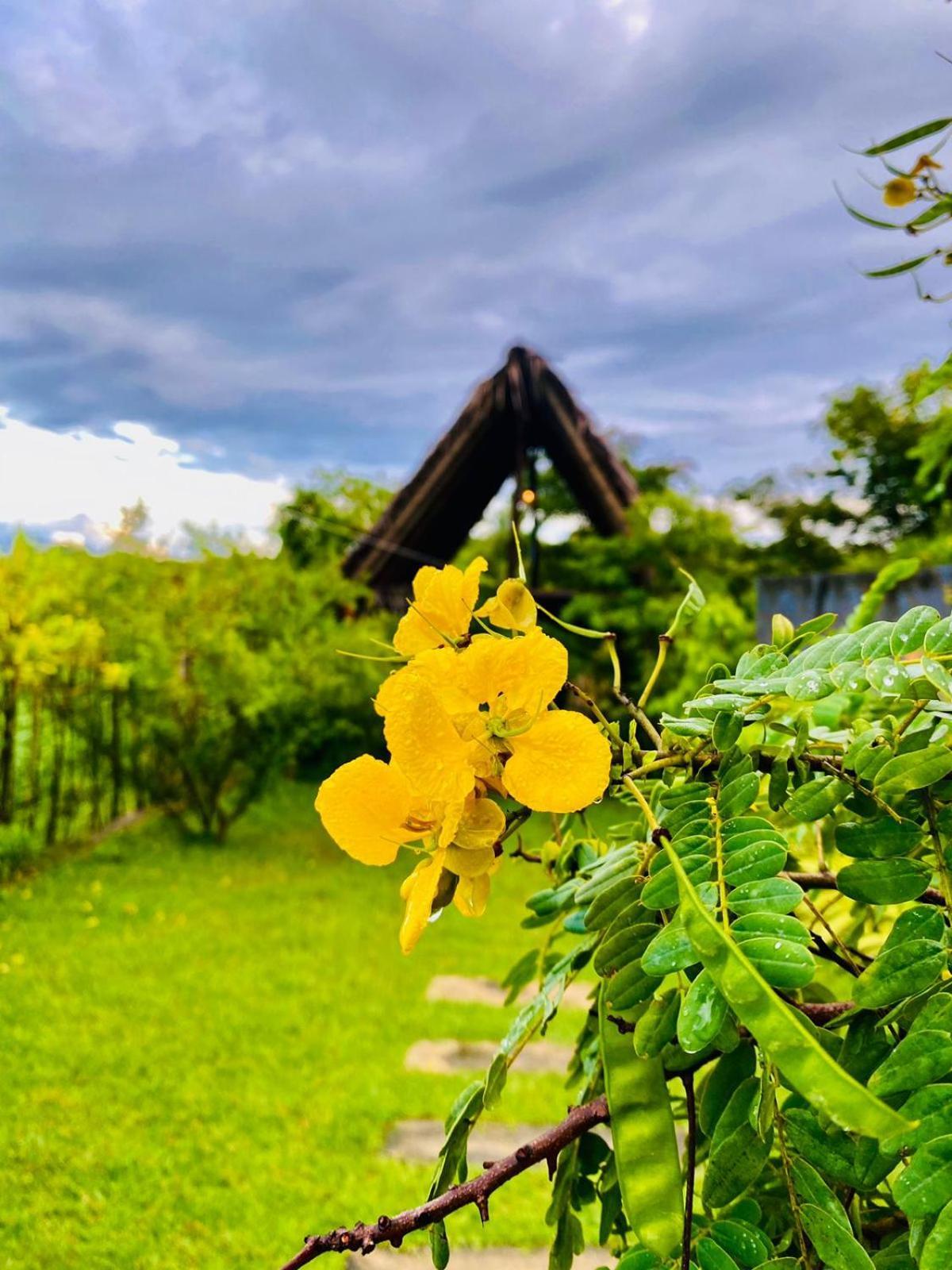 Kalametiya Bird Villa Tangalle Exterior foto